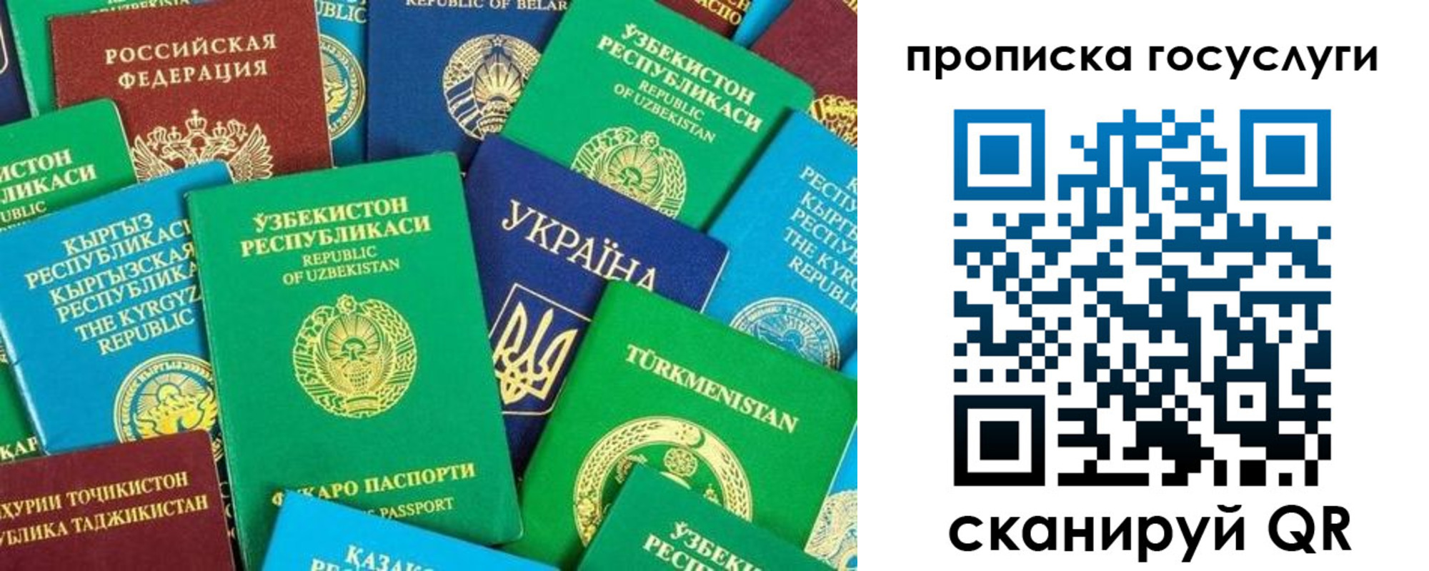 временная регистрация для всех в Благодарном